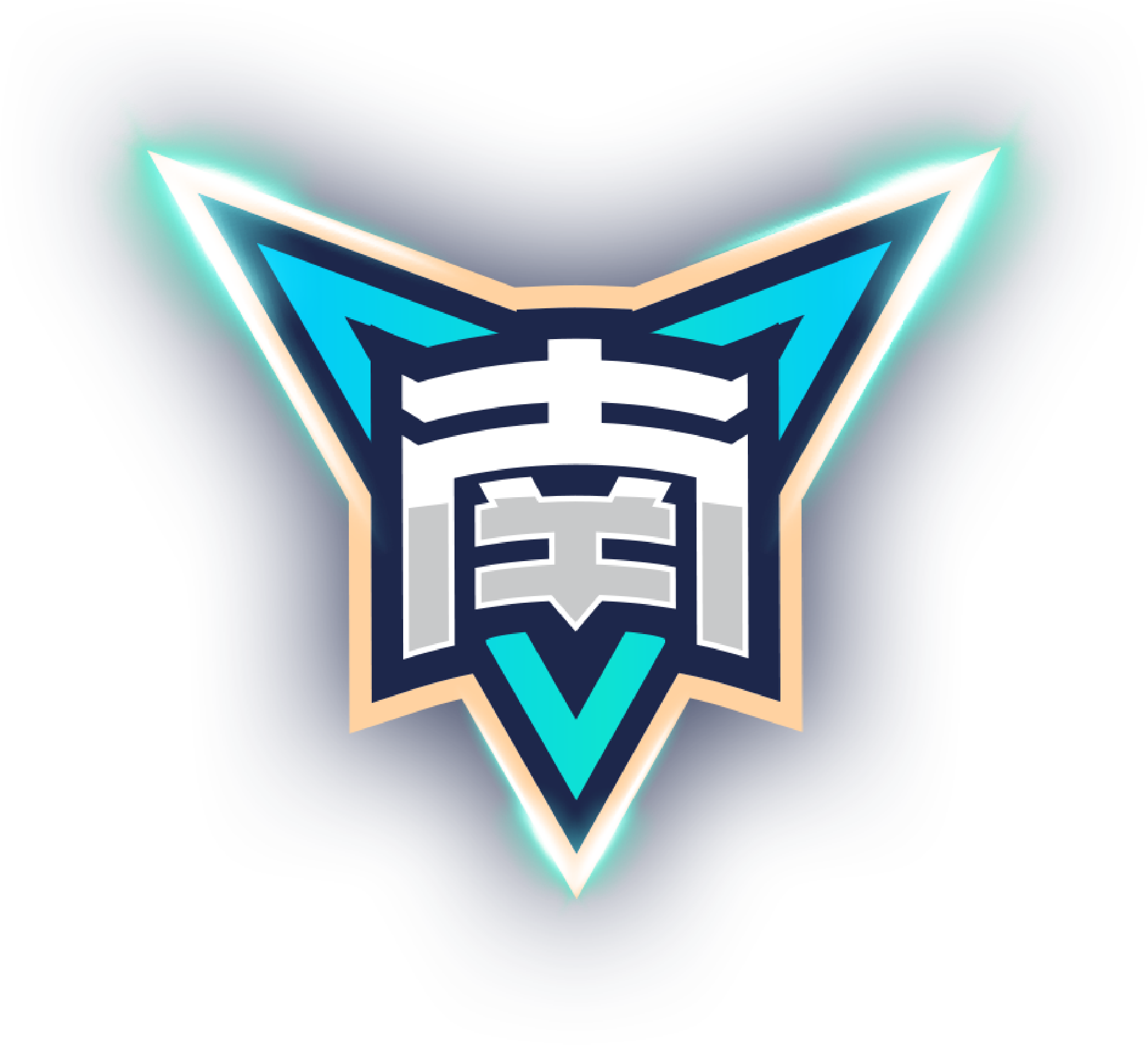 芝加哥火焰